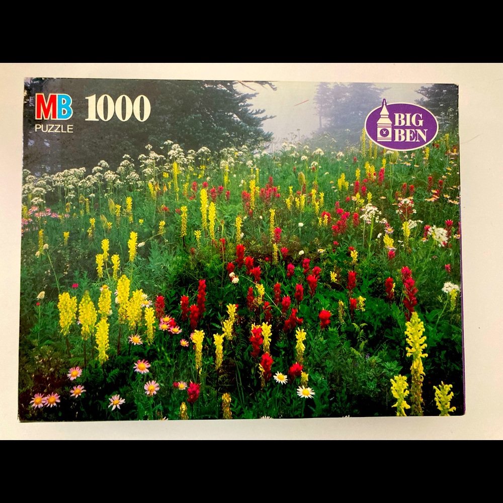 **NEW** MG ‘MT. RAINIER NATIONAL PARK, WA’ 1000 PIECE PUZZLE